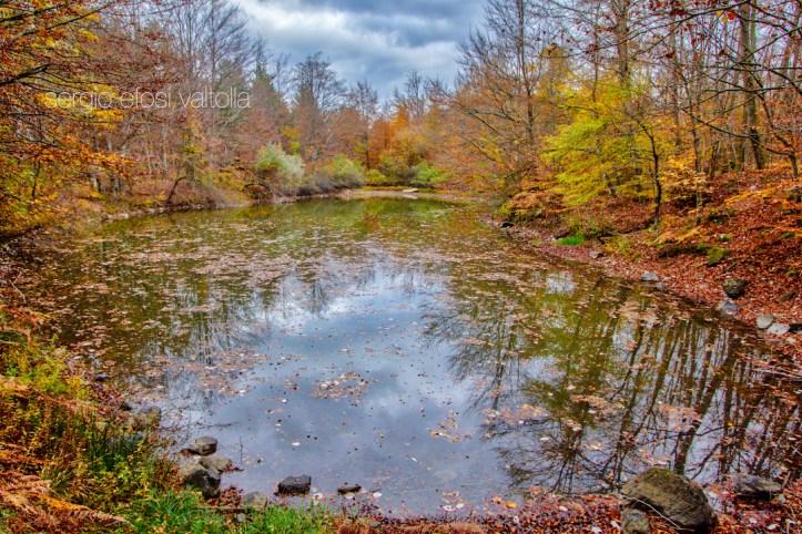 2018-10-lago del gallo1-1IMG_3192-HDR