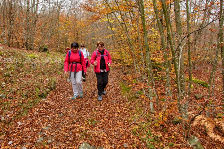 2018-10-lago del gallo11-1IMG_3159