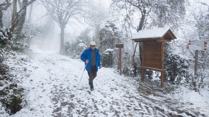 2019-12-13-vigoleno-EFOS7304 copia