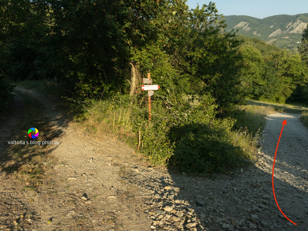 Questa immagine ha l'attributo alt vuoto; il nome del file è 2022-07-valle-del-cerro1ac-efos7909-copia-3.jpg